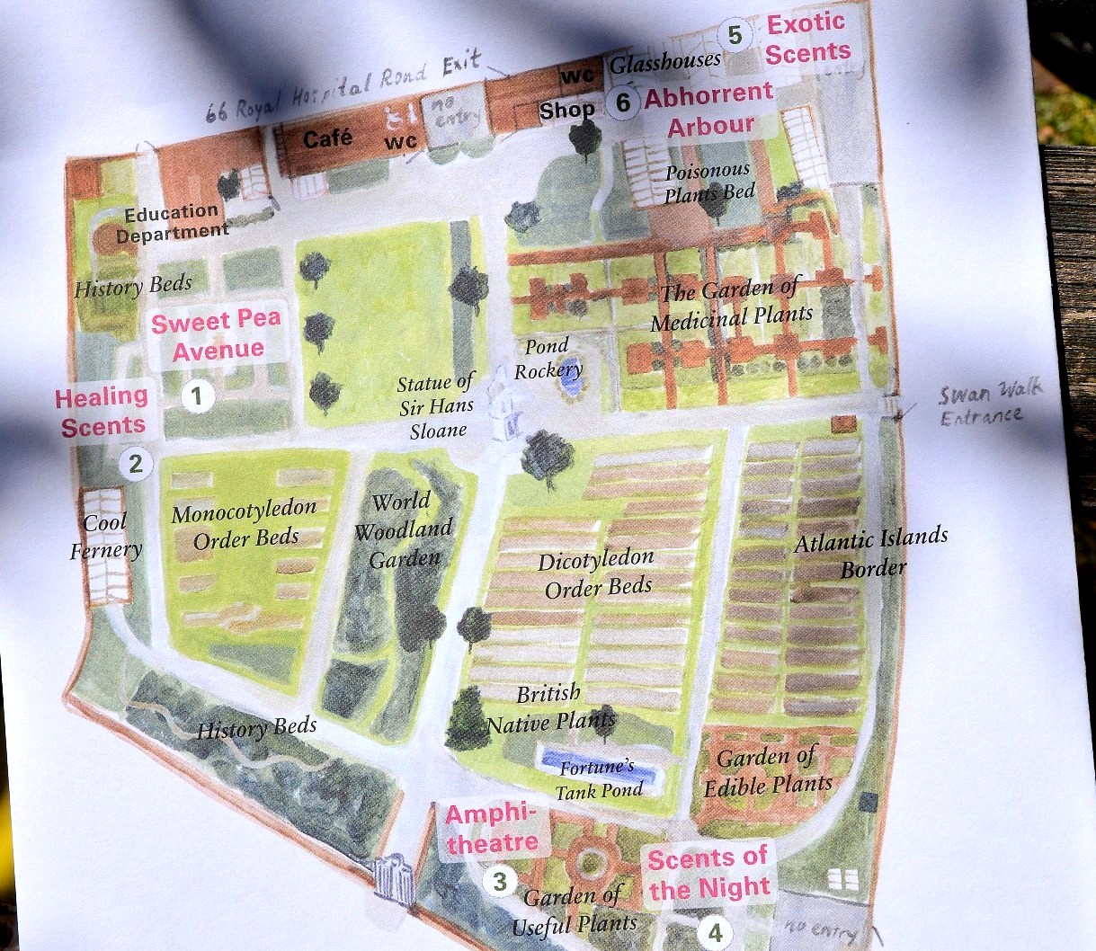 Map of Chelsea Physic Garden | Freed From Time